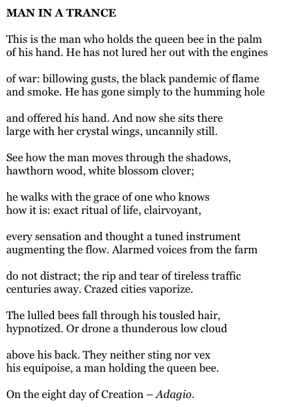 MAN IN A TRANCE

This is the man who holds the queen bee in the palm
of his hand. He has not lured her out with the engines

of war: billowing gusts, the black pandemic of flame
and smoke. He has gone simply to the humming hole

and offered his hand. And now she sits there
large with her crystal wings, uncannily still.

See how the man moves through the shadows,
hawthorn wood, white blossom clover;

he walks with the grace of one who knows
how it is: exact ritual of life, clairvoyant,

every sensation and thought a tuned instrument
augmenting the flow. Alarmed voices from the farm

do not distract; the rip and tear of tireless traffic
centuries away. Crazed cities vaporize.

The lulled bees fall through his tousled hair,
hypnotized. Or drone a thunderous low cloud

above his back. They neither sting nor vex
his equipoise, a man holding the queen bee.

On the eight day of Creation – Adagio.