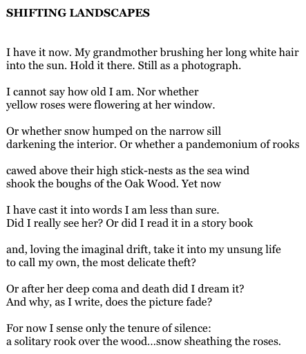 SHIFTING LANDSCAPES


I have it now. My grandmother brushing her long white hair
into the sun. Hold it there. Still as a photograph.

I cannot say how old I am. Nor whether
yellow roses were flowering at her window.

Or whether snow humped on the narrow sill
darkening the interior. Or whether a pandemonium of rooks

cawed above their high stick-nests as the sea wind
shook the boughs of the Oak Wood. Yet now

I have cast it into words I am less than sure.
Did I really see her? Or did I read it in a story book

and, loving the imaginal drift, take it into my unsung life
to call my own, the most delicate theft?

Or after her deep coma and death did I dream it?
And why, as I write, does the picture fade?

For now I sense only the tenure of silence:
a solitary rook over the wood…snow sheathing the roses.
